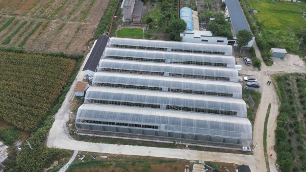 在线炒股平台排名 无人值守 自助采摘 来枝江问安这个农场开启田园新体验