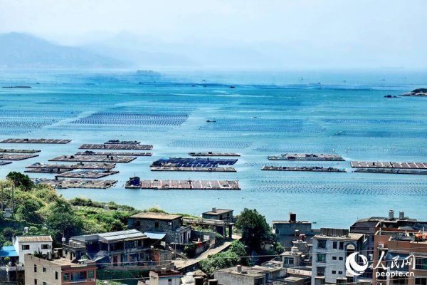 十大配资平台app 行进中国丨这片“海上牧场” “鲍”发力十足
