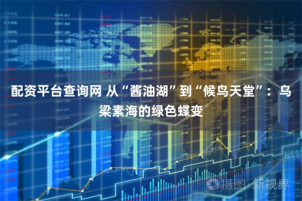配资平台查询网 从“酱油湖”到“候鸟天堂”：乌梁素海的绿色蝶变